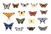 Vintage hand-drawn butterflies set, an Animal Illustration by Good Studio (Thumbnail 2 of 7)