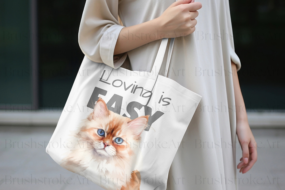 Ragdoll Cat Clipart, Ragdoll Kittens, an Animal Illustration by BrushstrokeArtGB (Photo 7 of 9)