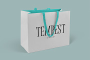 Vera Typeface, a Serif Font by Tugcu Design Co. (Thumbnail 4 of 5)