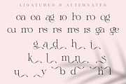 Megans | Elegant Stylish Serif, a Serif Font by Sealoung (Thumbnail 16 of 16)