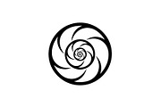 Spiral Seashell SVG Bundle, an Illustration by Gaye Art (Thumbnail 16 of 31)