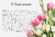 110 Hand-drawn botanical elements, a Decorative Illustration by Wander Designs (Thumbnail 8 of 8)