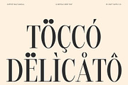CS Beffalo – Elegant Serif Font, a Serif Font by Craft Supply Co. (Thumbnail 6 of 8)