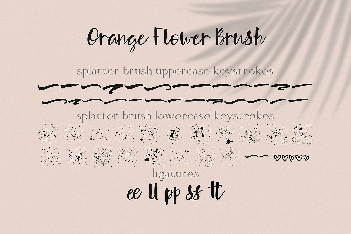 Orange Flower! Typeface with Extras, a Script Font by Anastasia Cuza (Photo 6 of 9)
