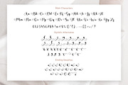 Delightica - Handwritten Script Font, a Script Font by Timurtype (Thumbnail 6 of 7)