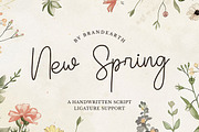 New Spring – A Handwritten Script, a Script Font by Brand Earth (Thumbnail 1 of 10)