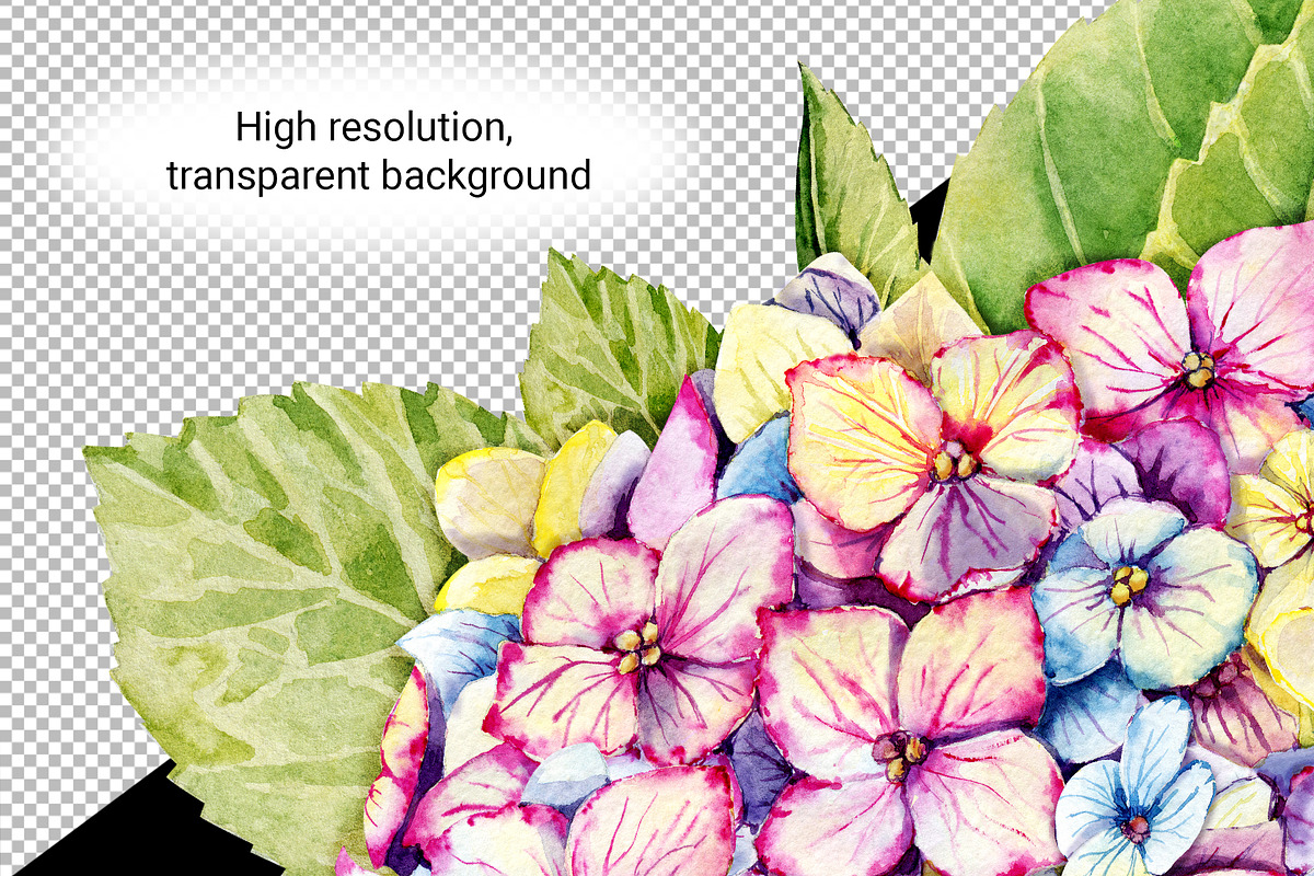 Hydrangea clipart, flower patterns, an Illustration by Artmanata (Photo 4 of 18)