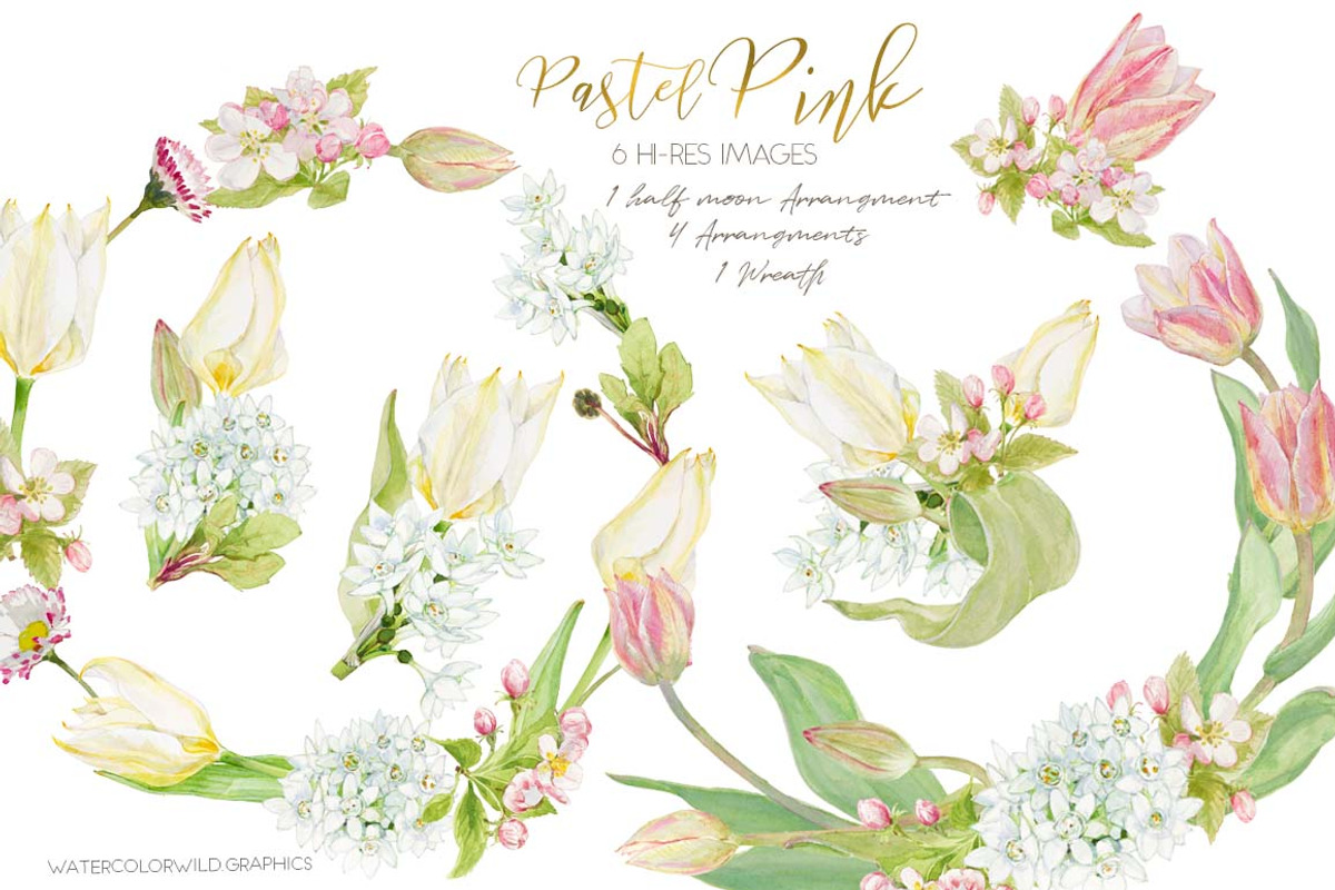 Pastel Pink-WatercolorClipartSet, an Illustration by watercolorwild.graphics (Photo 5 of 6)