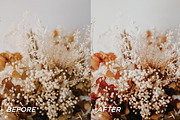 15 Fall Lightroom Presets, a Preset Add-On by TheWayfarerShoppe (Thumbnail 4 of 7)