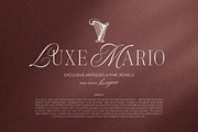 Silver Brands - Elegant Mixed Serif, a Serif Font by Bale Type (Thumbnail 3 of 9)