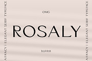 Rosaly – Fancy & Elegant Serif, a Serif Font by Local Desk Designstudio (Thumbnail 21 of 24)