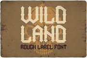 Wild Land typeface, a Symbol Font by VozzyStock (Thumbnail 6 of 7)