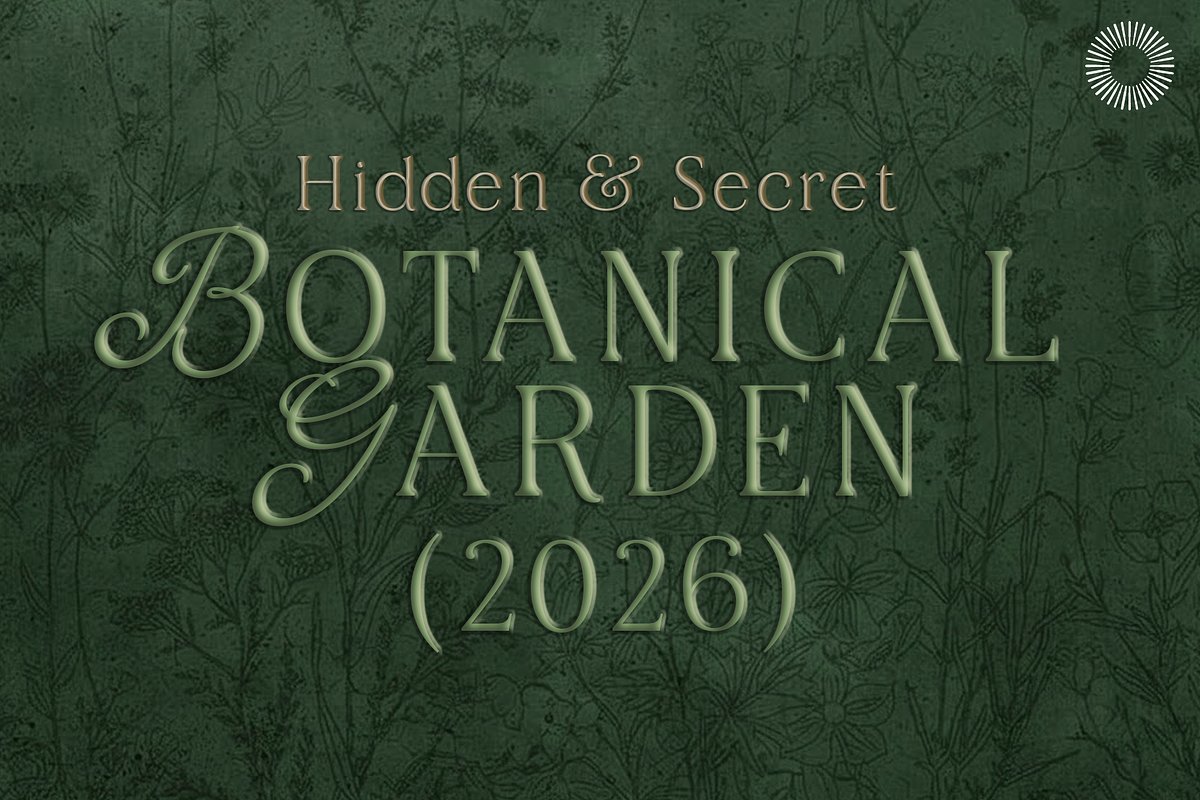 Aether Multi-Style Serif, a Serif Font by Setara Langit CreativeStd (Photo 5 of 11)