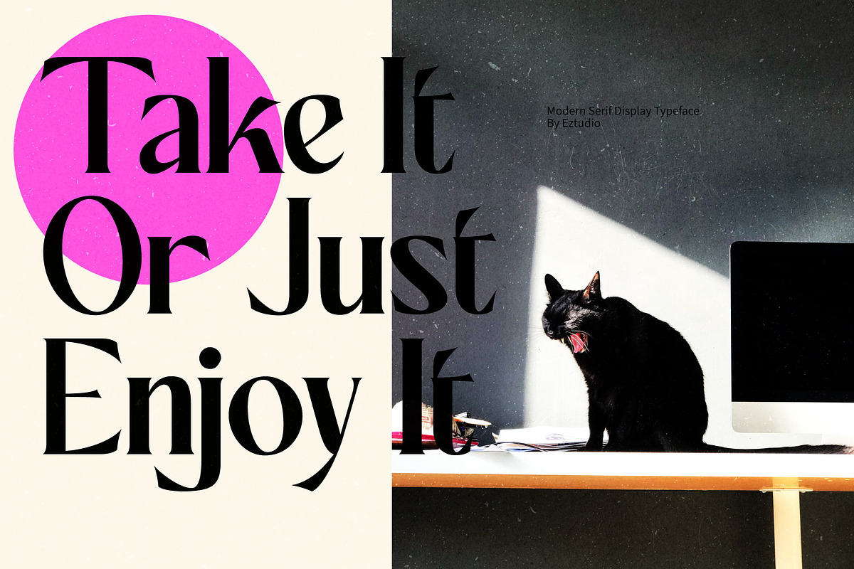 Ez-Barney - Modern Serif Display, a Serif Font by Eztudio (Photo 12 of 13)