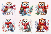 Christmas Owl Clipart PNG, an Illustration by Dream Creation (Thumbnail 3 of 7)