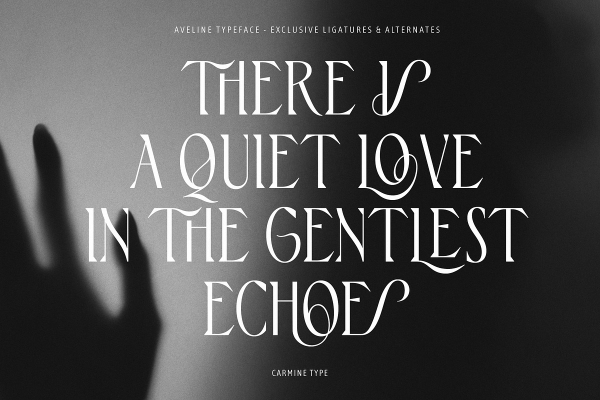 Aveline, Soft Serif with Ligatures, a Serif Font by CarmineType (Photo 3 of 28)
