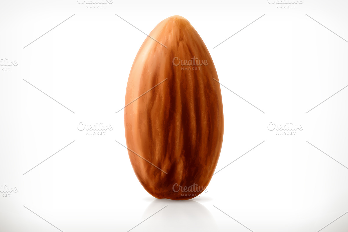 Almond, nut, vector icon, an Icon by Allevinatis Studio