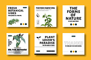 Fresh Botanical Social Media Post, a Social Media Template by MightyDesign (Thumbnail 1 of 8)