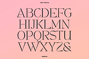 TAN - PARFAIT, a Serif Font by TanType (Thumbnail 8 of 21)