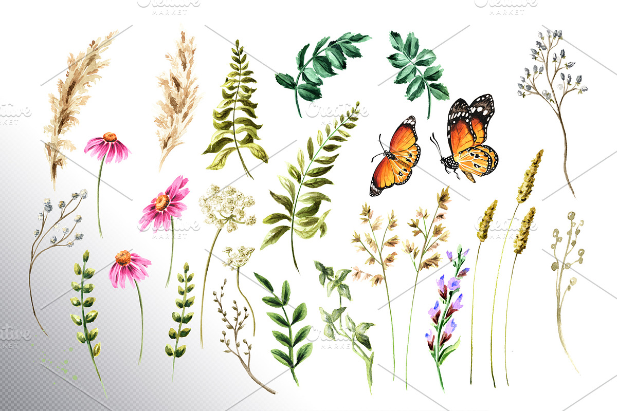 Wildflowers, a Decorative Illustration by Daria Ustiugova (Photo 13 of 14)