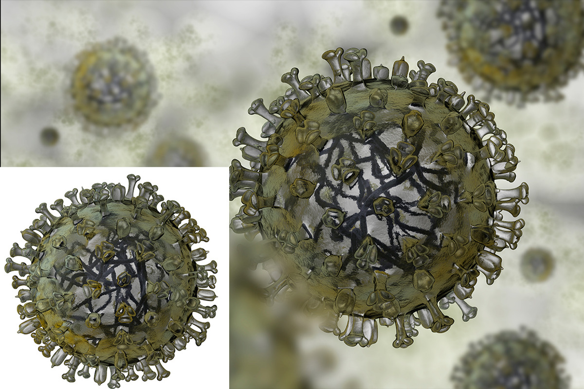Flu virus preview 2