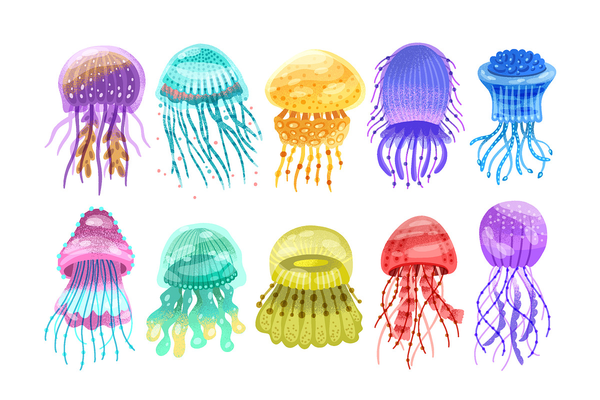 Different jellyfish, sea animals set, an Animal Illustration by Good Studio (Photo 1 of 6)