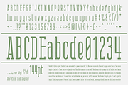 AURATIUM Regular & Slab Typeface, a Slab Serif Font by Alex-Banks Type (Thumbnail 6 of 13)