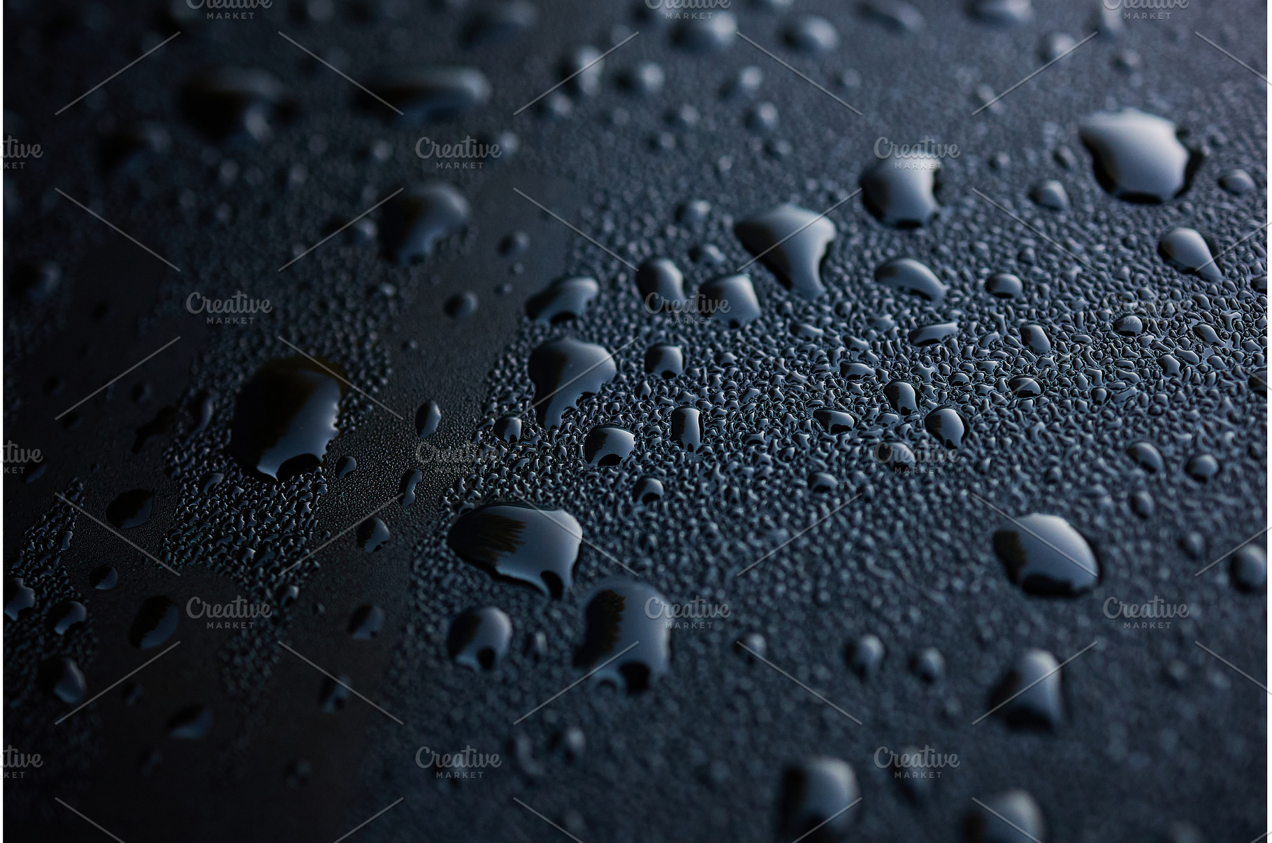 Close-up view of water droplets on a, a Nature Photo by IlliaBondarPhotography