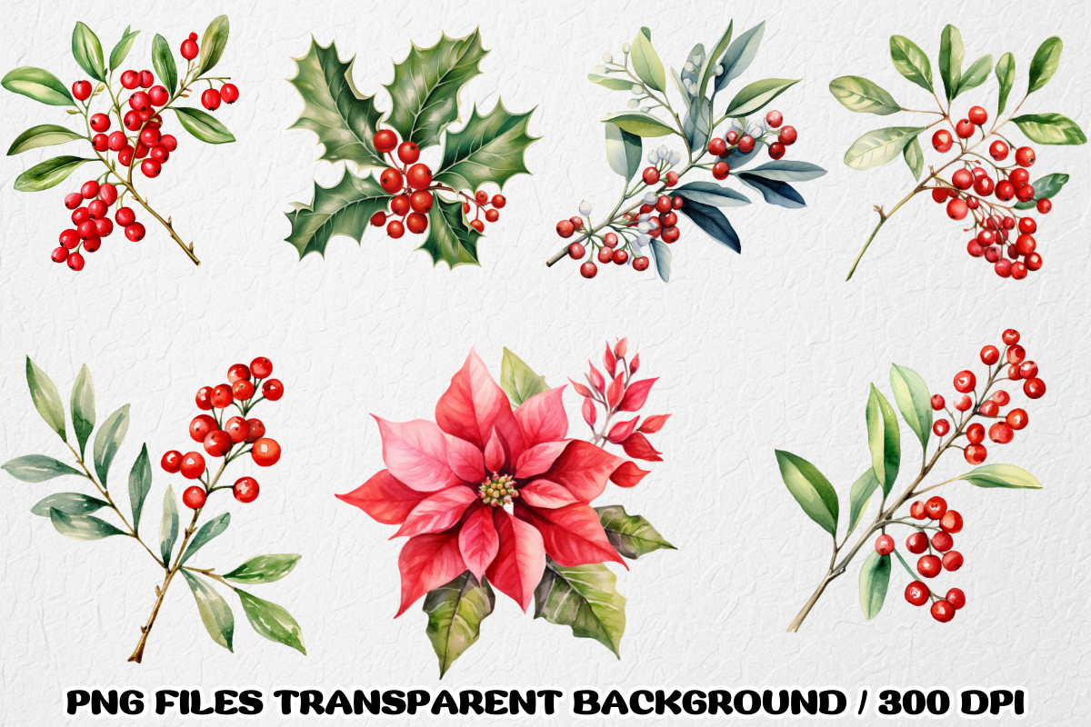 Mistletoe Poinsettia flowers Clipart, a Decorative Illustration by SindyPrintDesign (Photo 3 of 3)