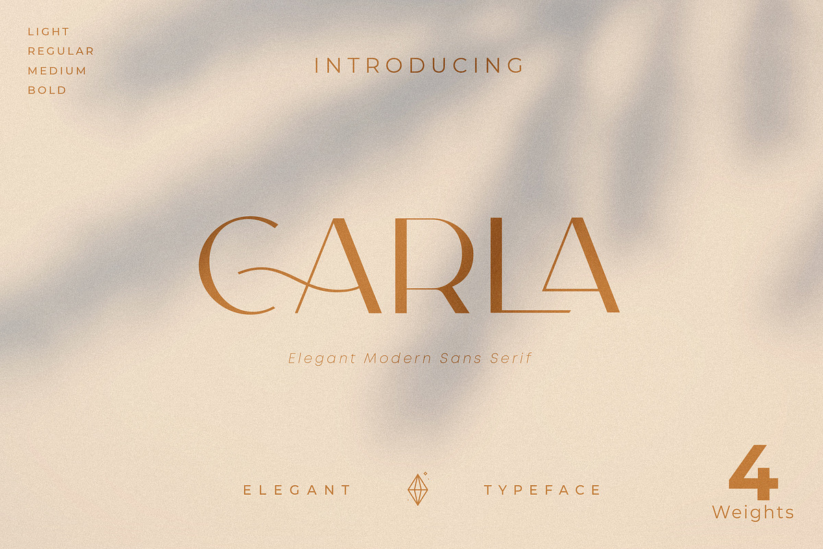 Carla Sans - Elegant Typeface, a Sans Serif Font by Creative Corner (Photo 2 of 26)
