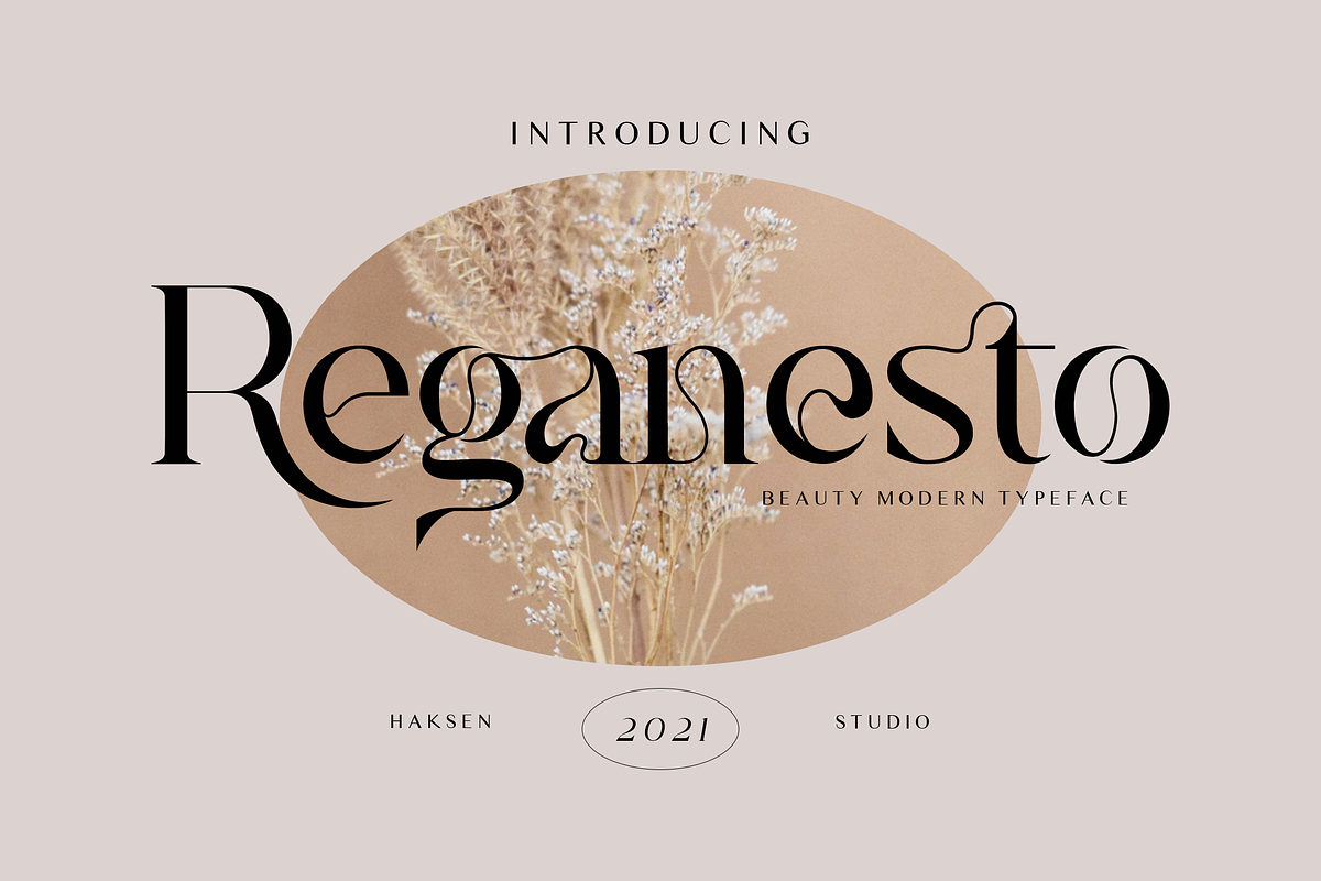 Reganesto - Modern Serif Typeface, a Serif Font by Haksen (Photo 1 of 11)
