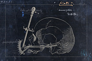 Craniometry, an Object Graphic by Sick Optix (Thumbnail 6 of 8)