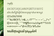 Mollas Typeface, a Serif Font by alit design (Thumbnail 5 of 18)