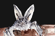 Vampire bats, watercolor/ink/vector, an Animal Illustration by Watercolor_Vector Graphic (Thumbnail 12 of 22)