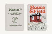 Meltica - Handmade Organic Serif, a Serif Font by Panatype™ Studio (Thumbnail 3 of 10)