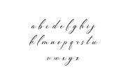 Daneworch Classy Script Font, a Script Font by UICreative (Thumbnail 6 of 13)
