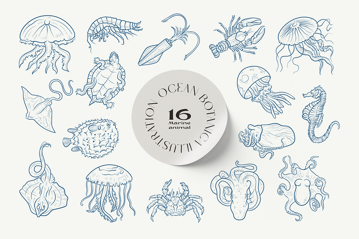 Ocean Botanica, an Animal Illustration by KetteCreate (Photo 5 of 13)