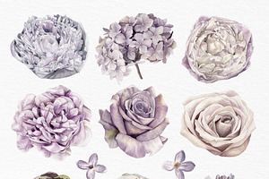 Lilac Purple Watercolor Flowers