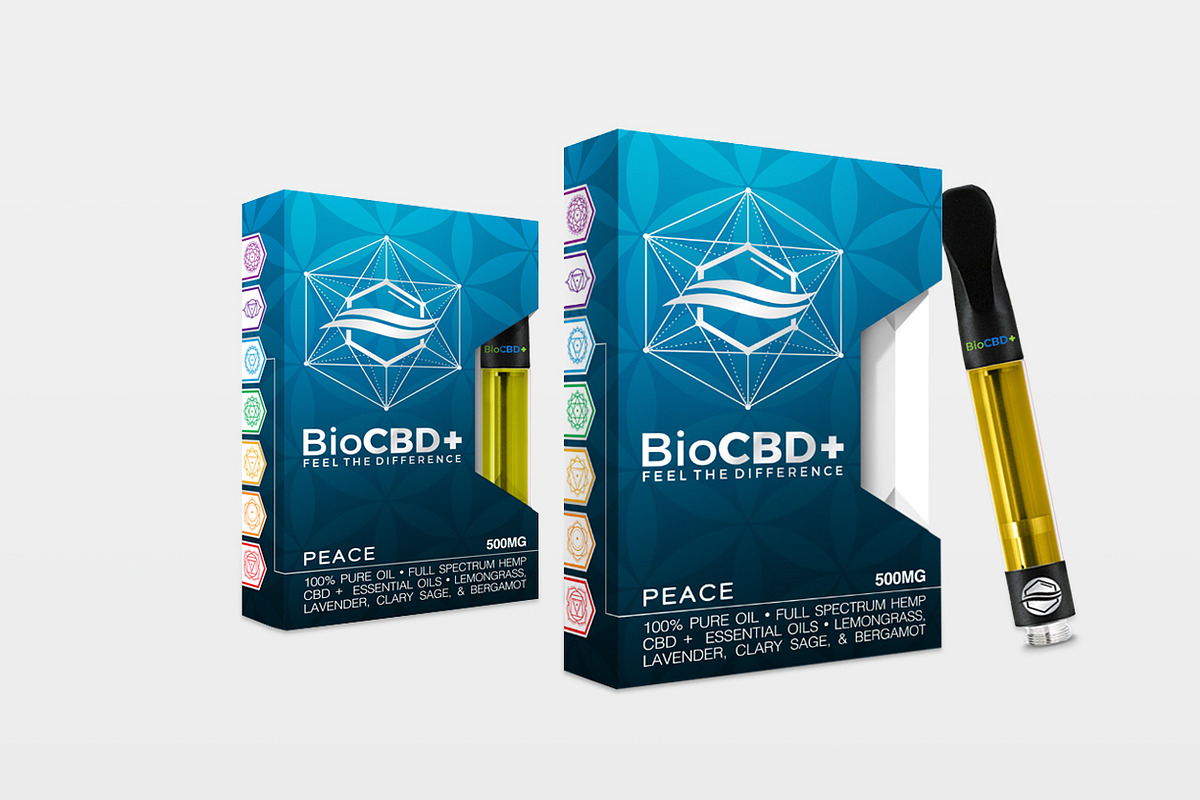 Sacred Geometry Vector Bundle, an Illustration by S K Y B O X (Photo 6 of 17)