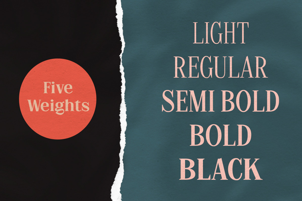 The Stegris Serif Family - 5 Weights, a Serif Font by Letterhend Studio (Photo 2 of 9)