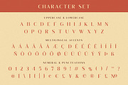 Waluxe - Luxurios Roman Sans, a Sans Serif Font by Almarkhatype (Thumbnail 10 of 10)