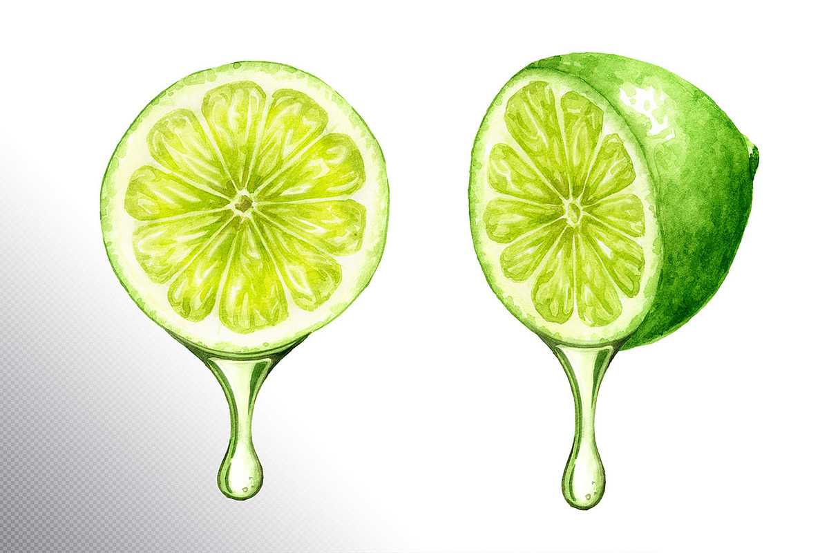 Lime citrus. Watercolor collection, a Food Illustration by Daria Ustiugova (Photo 10 of 21)