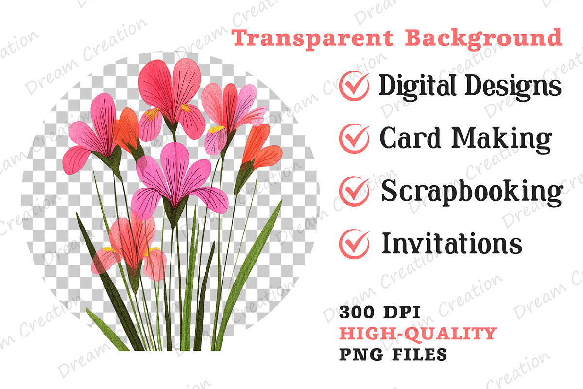 Watercolor Wildflower Clipart, an Illustration by Dream Creation (Photo 11 of 11)