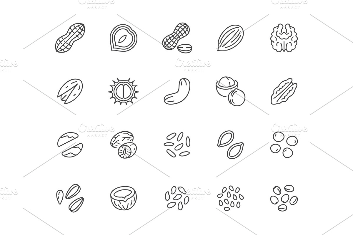 Nuts Line Icons, an Outline Icon by Nadiinko