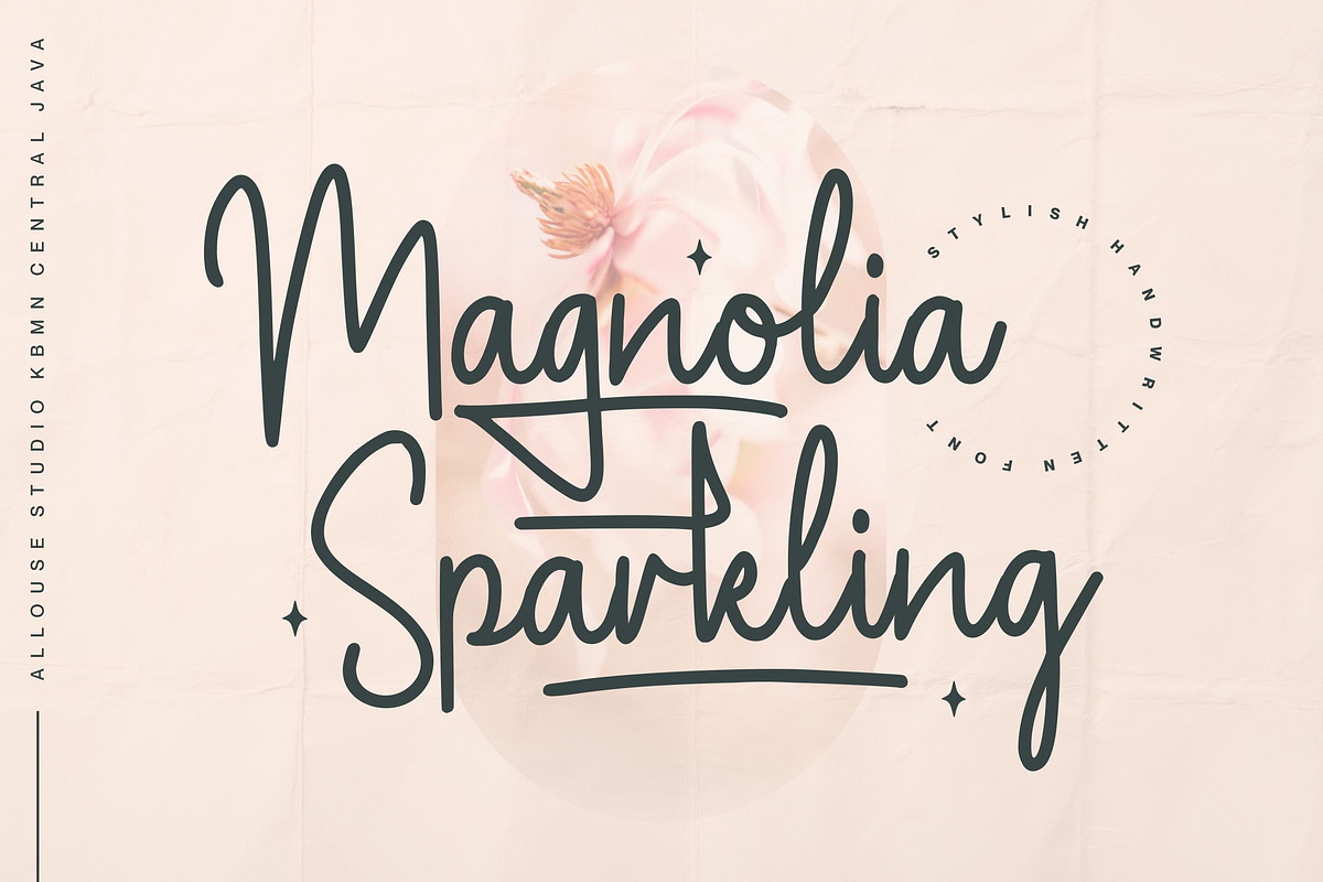 Magnolia Sparkling Font, a Script Font by Allouse Studio (Photo 1 of 10)