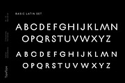 TT Ricordi Greto, a Sans Serif Font by TypeType (Thumbnail 5 of 15)