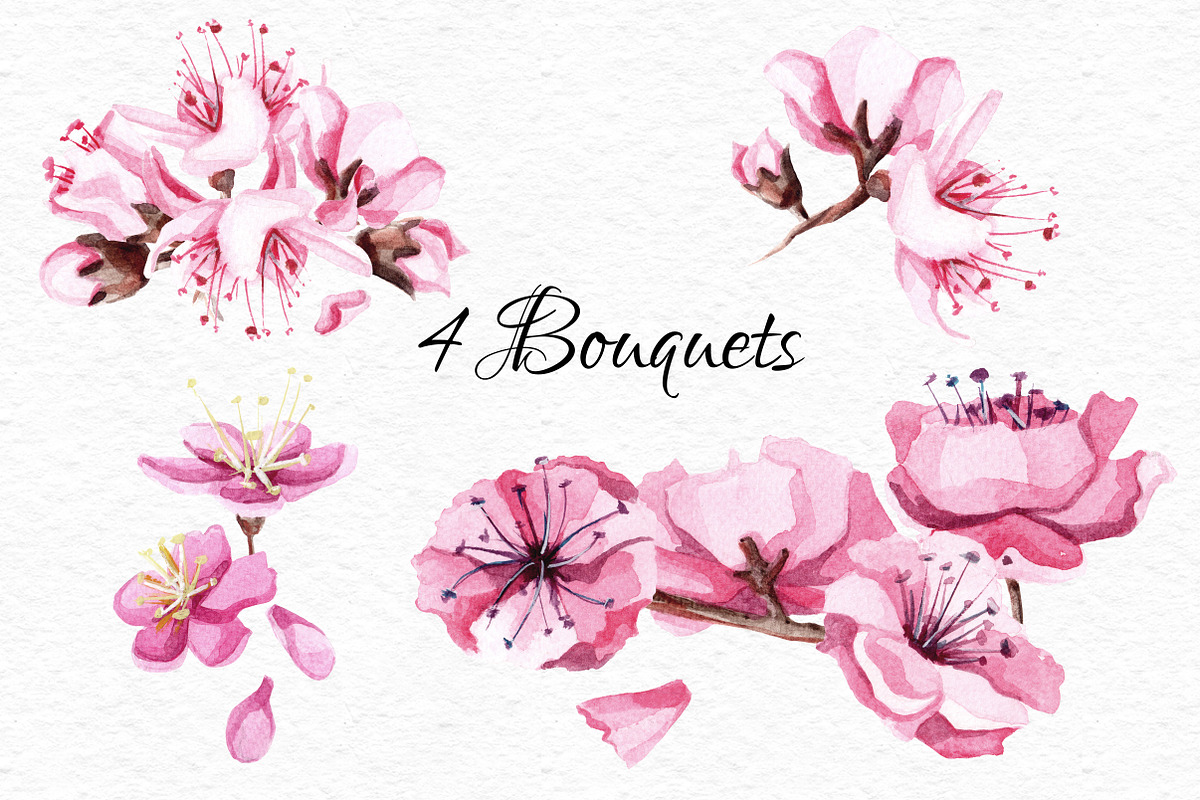 Watercolor Sakura blossom collection, an Object Graphic by Satika (Photo 2 of 9)