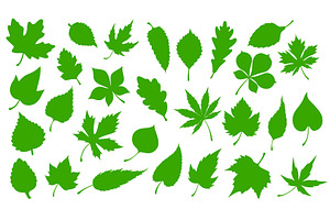 Green leaves, nature tree leaf icons, an Illustration by Vector Tradition