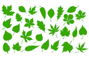 Green Leaves, Nature Tree Leaf Icons