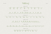 Mallong Typeface, a Serif Font by alit design (Thumbnail 13 of 17)